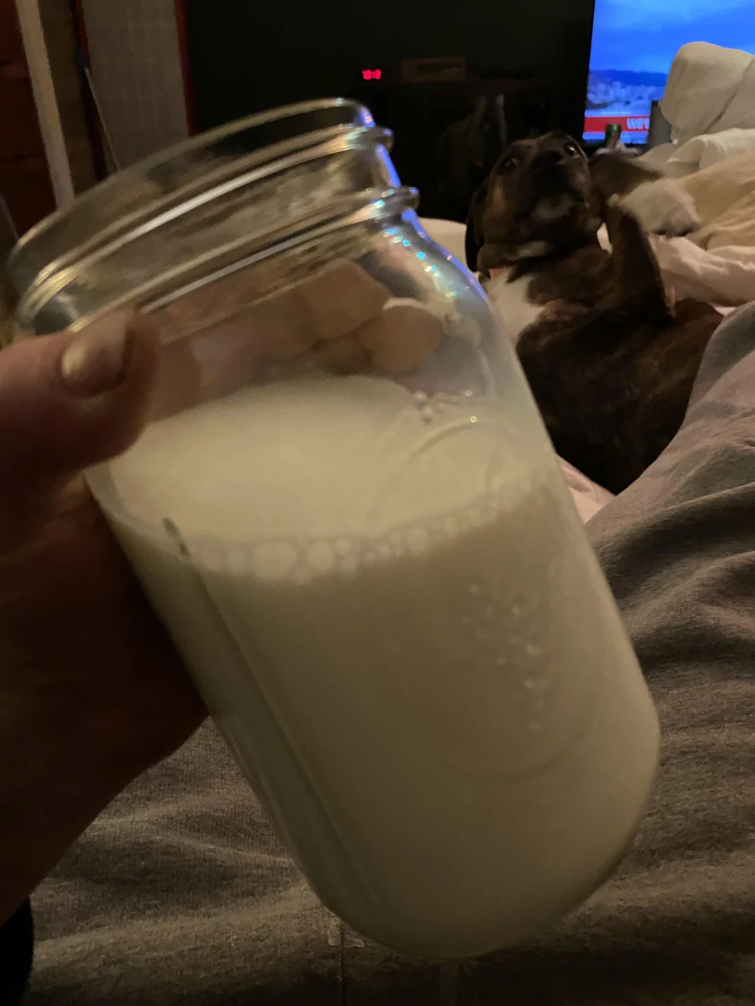 milk